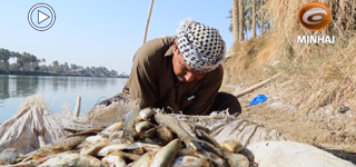 برنامج وثائقي حول ( صيد الأسماك ) في نهر الفرات || وثائقيات (٢١)
